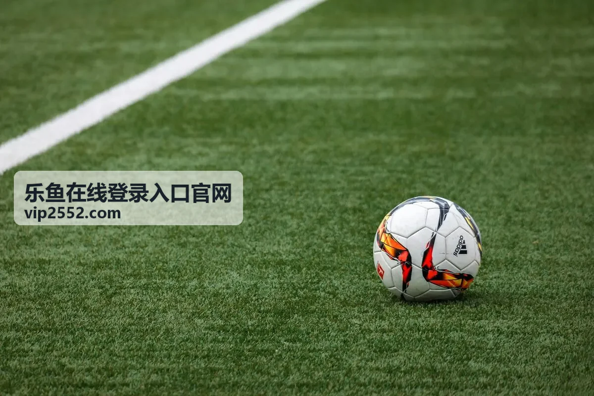 乐鱼在线登录入口官网 - 热门游戏封面