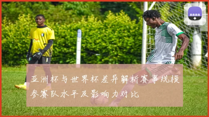 亚洲杯与世界杯差异解析赛事规模参赛队水平及影响力对比
