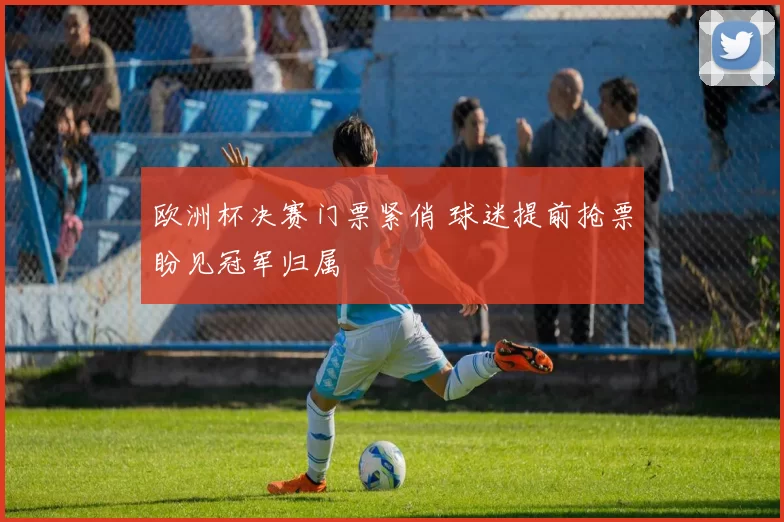 欧洲杯决赛门票紧俏 球迷提前抢票盼见冠军归属