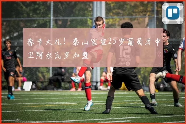 春节大礼!泰山官宣25岁葡萄牙中卫阿尔瓦罗加盟