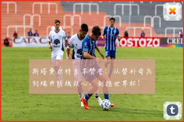 斯塔费尔特乐享赞誉：从替补奇兵到瑞典防线核心，剑指世界杯！