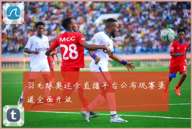 羽毛球奥运会直播平台公布观赛渠道全面开放
